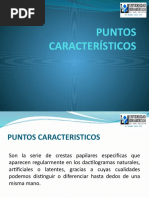 Tipos y Clasificación de Verticilos | PDF | Science | Ciencia y Tecnología