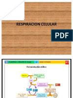 RESPIRACION CELULAR