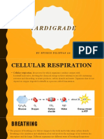 Cellular Respiration in Tardigrades