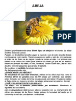 ABEJA