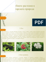 Лечебните Растения в Българската Природа
