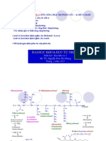 Hoa HC1 Phi PHNG 3