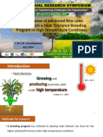 Performance of Advanced Rice Lines in High Temperatures