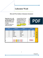 Tema 2 Word LISAN MARIA 