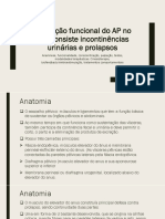 Avaliação Funcional Do AP No Que Consiste Incontinências Urinárias e Prolapsos