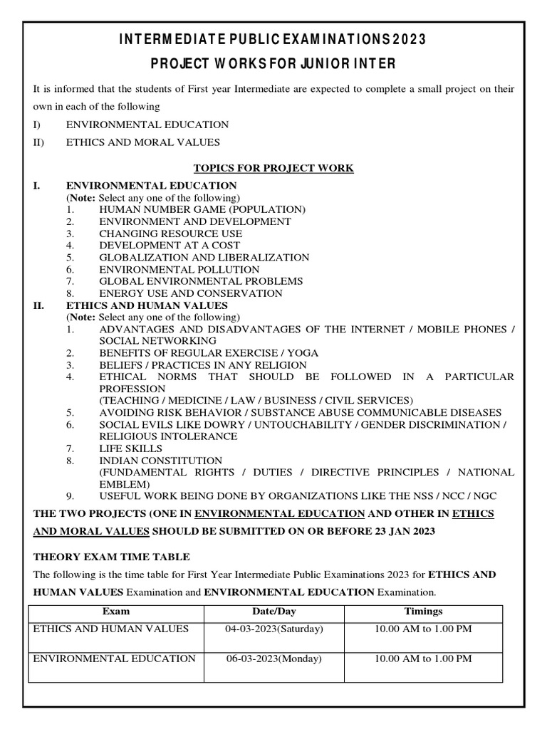 EVS and Ethics Project Guidelines | PDF