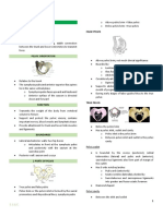 Organ Anatomy Notes 1