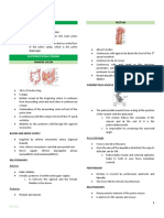 Organ Anatomy Notes 2