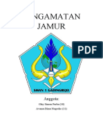 Jamur