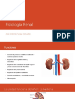 Fisiología Renal