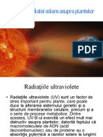 Influenta Radiatei Solare Asupra Plantelor BIOFIZICA