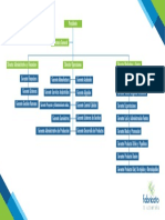 Organigrama Nivel Gerentes 2018