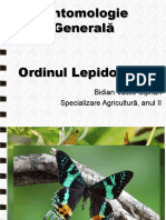 Referat Entomologie - Bidian Vasile Ciprian