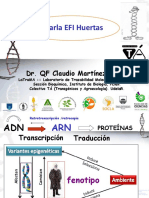 Charla EFI Huertas sobre OGMs, transgénicos y nuevas biotecnologías