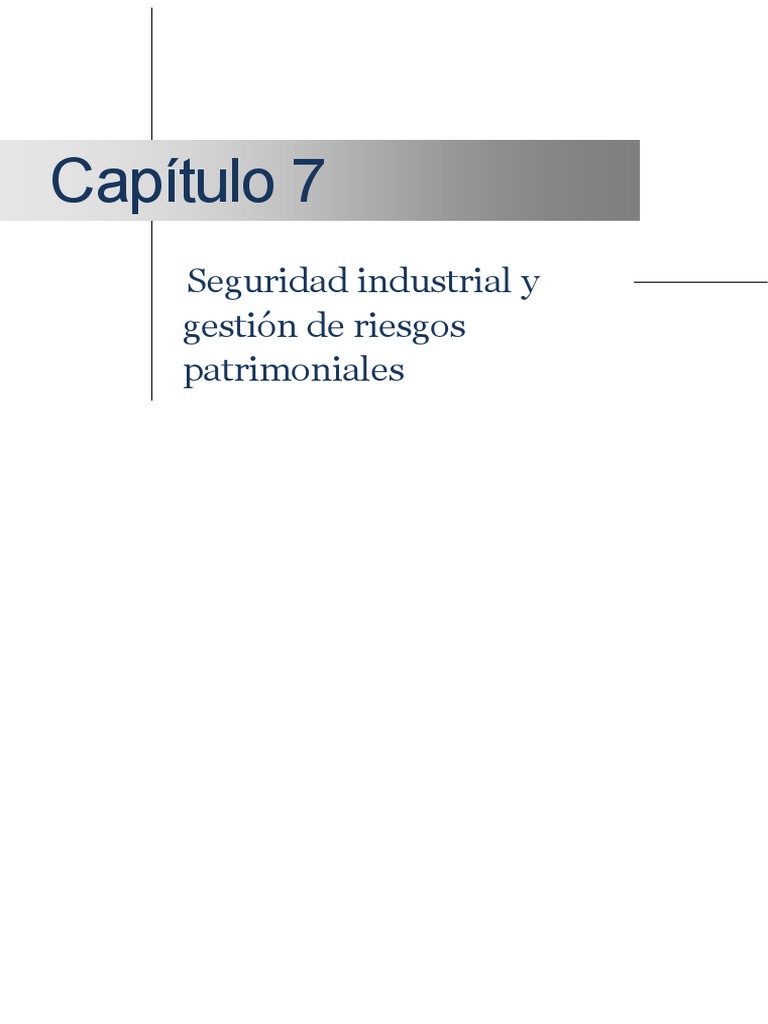Capitulo 7 Seguridad Industrial y Gestión de Riesgos Patrimoniales | PDF