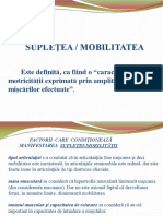 6 Mobilitatea