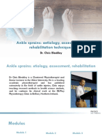 Ankle Sprain Etiology, Diagnosis and Rehabilitation