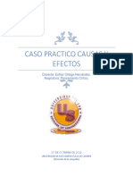 Caso Practico Causas y Efectos