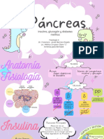 Pancreas