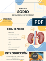 Nefrología: Sodio