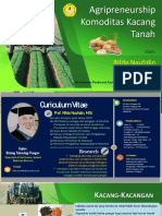 POTENSI KACANG TANAH