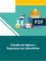 Trabalho de Higiene e Segurança Nos Laboratórios