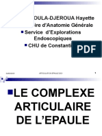 Anato1an-Complexe Articulaire Epaule2021belhoula