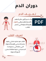 دوران الدم2