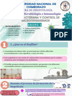 Guevara - Said - 3B - Grupo2 - Tarea 4.1 .Placa Bacteriana y Control de Microorganismos