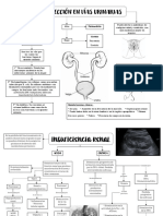 Infección en Vias Urinarias, Insuficiencia Renal