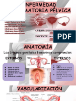 Enfermedad Inflamatoria Pelvica