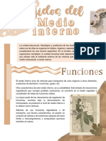 Tejidos Del Medio Interno