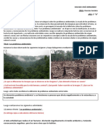 Actividades 5to Ciencias Sociales: Problemas Ambientales