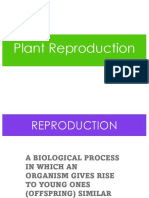 Plant Reproduction