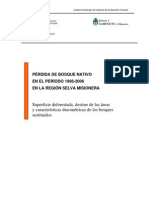 Selva Misionera Deforestacion 1998-2006