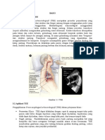 Trans-Esophageal Echocardiografi (TEE) Merupakan Prosedur Pemeriksaan Yang