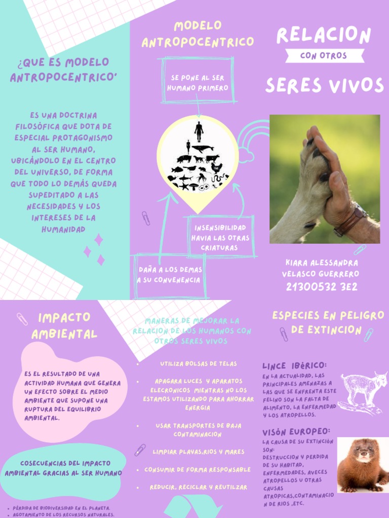 Tríptico - Relación Con Otros Seres Vivos | PDF | Entorno natural ...