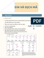 protein và dịch mã