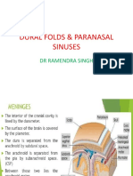 Dural Folds & Paranasal Sinuses