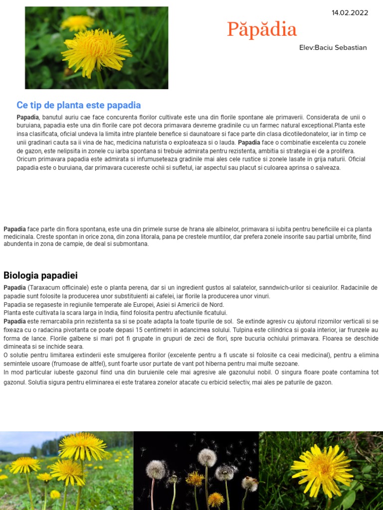 Păpădia | PDF