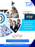 Java Prospectus