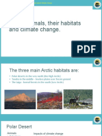 Resource 20 Arctic Animals Their Habits and Climate CH