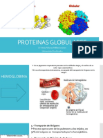 Clase 4. Proteinas Globinas