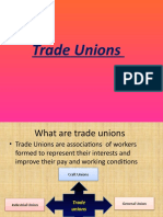 Basic Trade Unions and Wage Claims