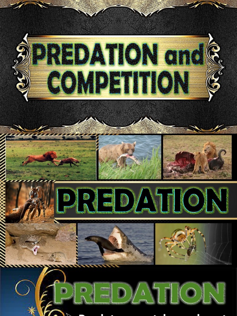 Predation and Competition in Ecosystems | PDF | Predation | Parasitism