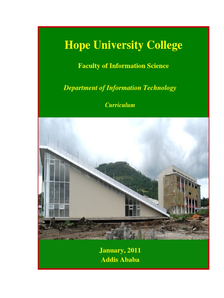 Curriculum on Information Technology PDF Databases Digital