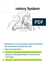 Respiratory System