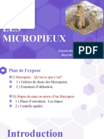 Les Micropieux