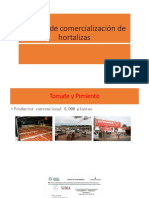 6.formas de Comercialización de Hortalizas