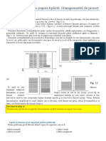 5 Alegerea Formatului